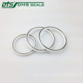 DMS Auto Pump Energized PTFE Rubber Hydraulic Spring Seals